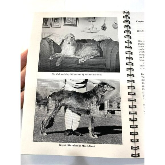 Living with Deerhounds by Barret, Kay, 1st Edition, SIGNED BY KAY BARRET - Picture 8 of 9